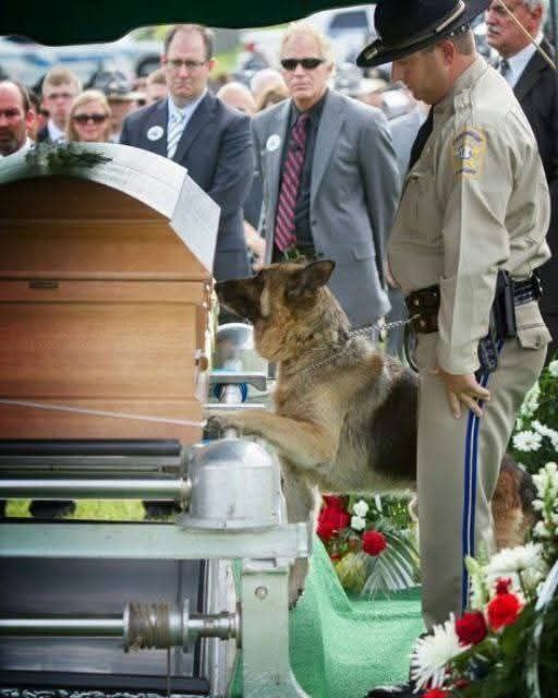 Pope Francis asked to say goodbye to his dog seconds before d… See more